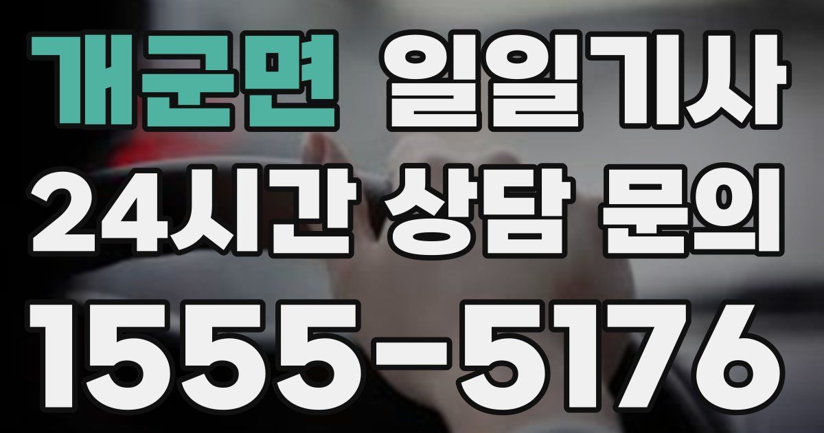 일일대리기사