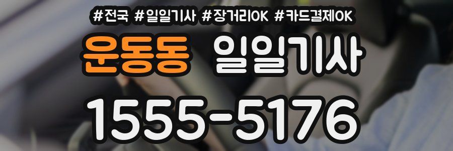 운동동 일일기사