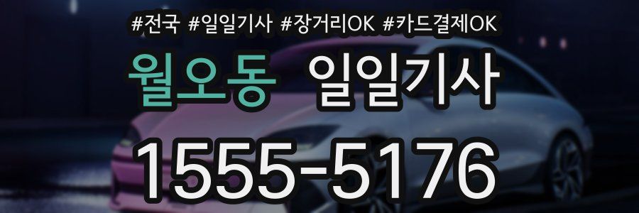 월오동 일일기사