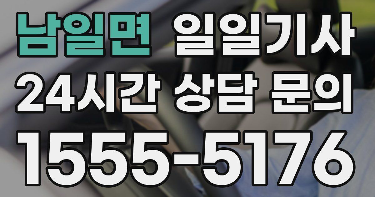 일일대리기사