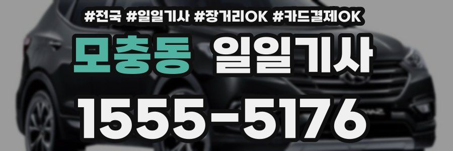 모충동 일일기사