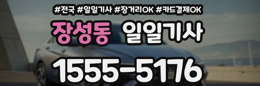 장성동 일일기사