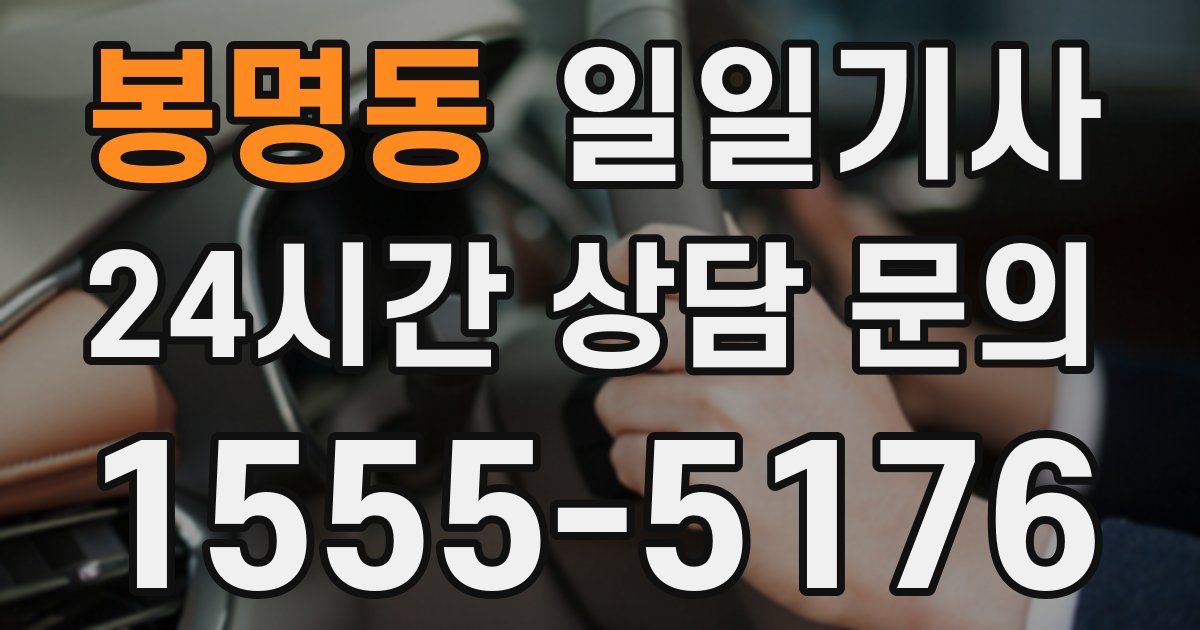 일일대리기사