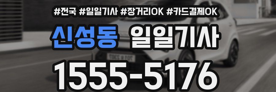 신성동 일일기사