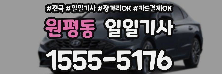 원평동 일일기사