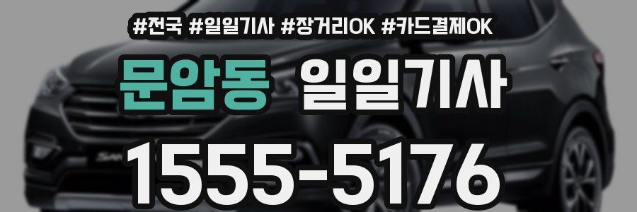 문암동 일일기사