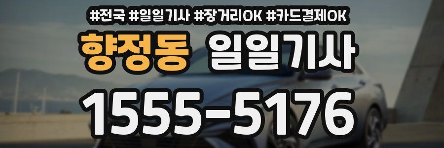 향정동 일일기사