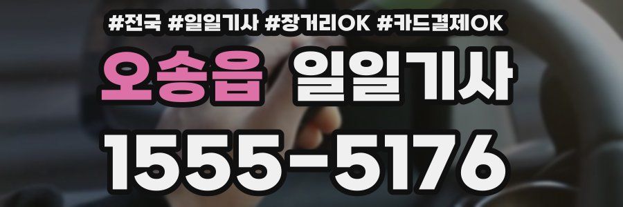 오송읍 일일기사