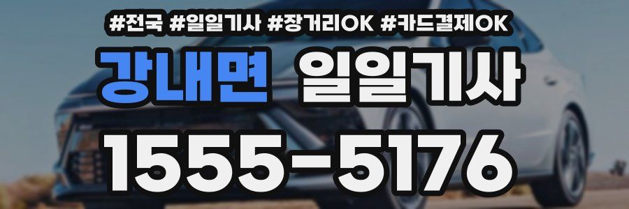 강내면 일일기사