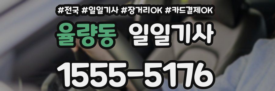 율량동 일일기사