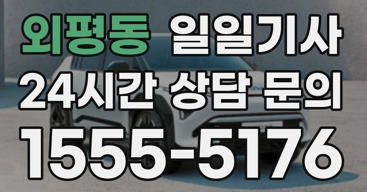 일일대리기사