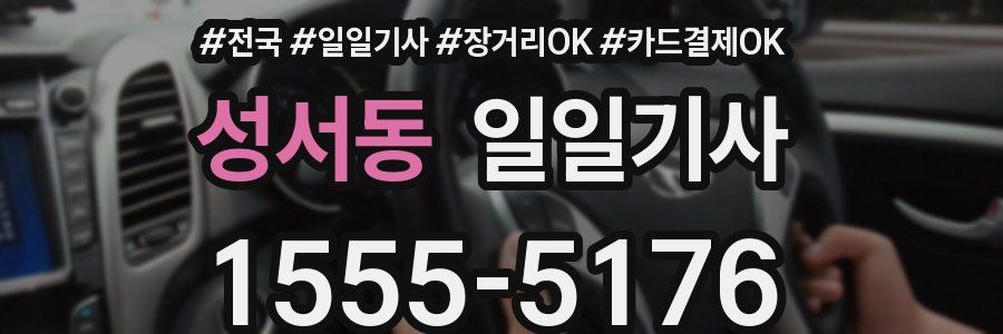 성서동 일일기사