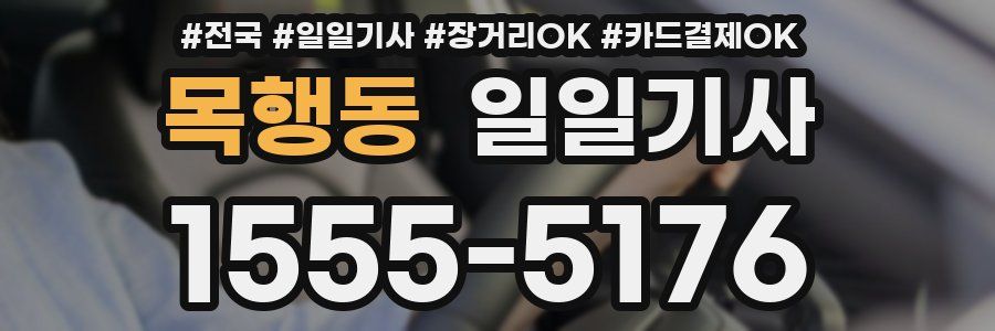 목행동 일일기사