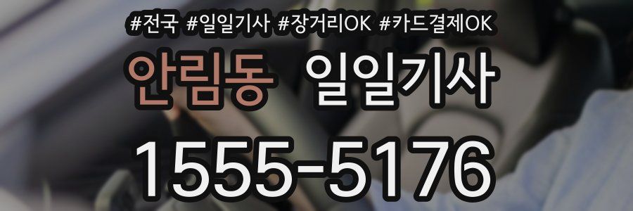 안림동 일일기사