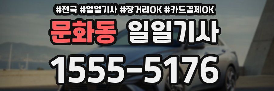 문화동 일일기사