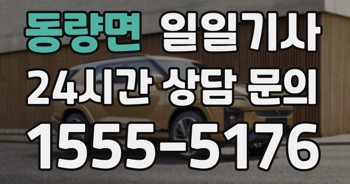 일일대리기사
