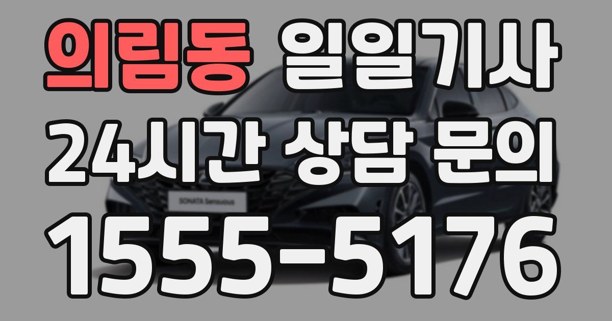 일일대리기사