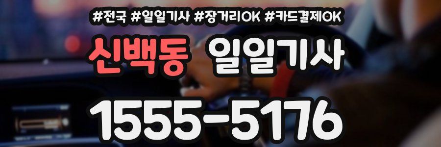 신백동 일일기사