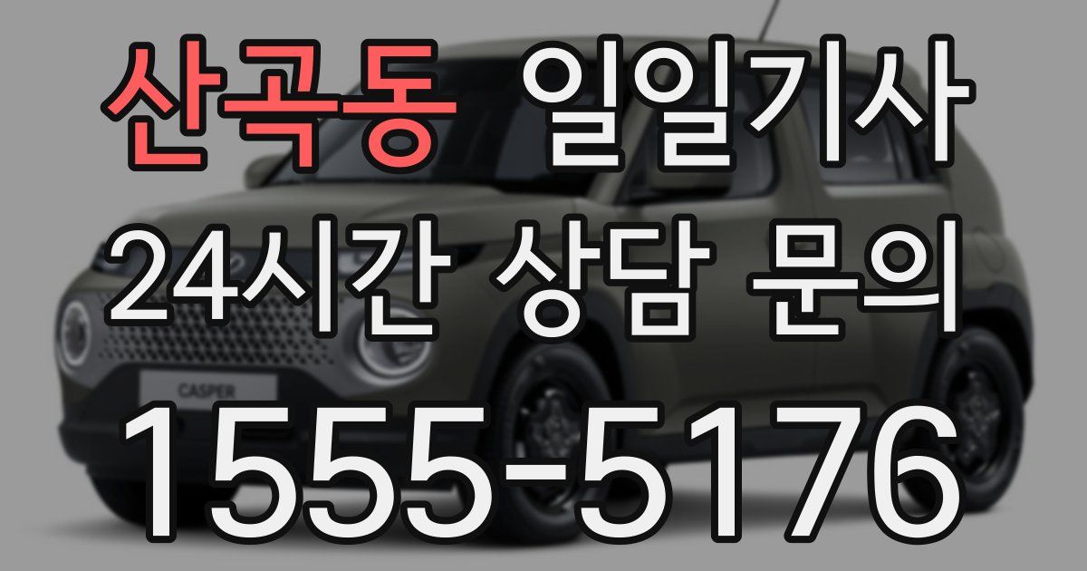 일일대리기사