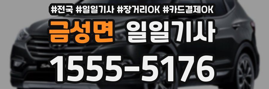 금성면 일일기사