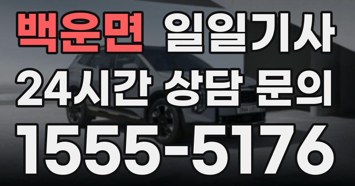 일일대리기사