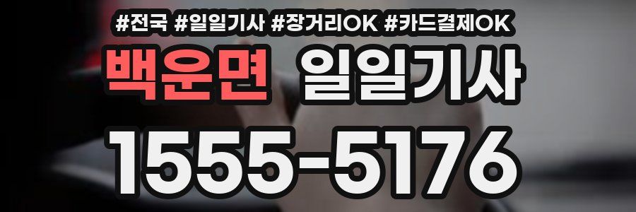 백운면 일일기사