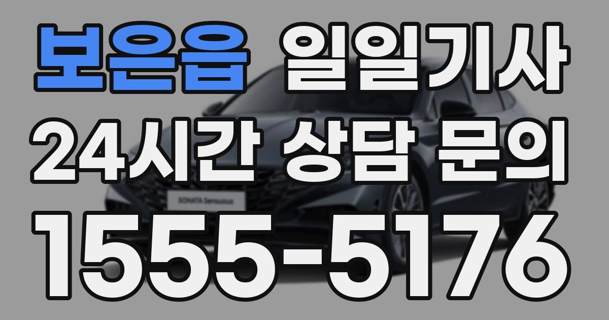 일일대리기사