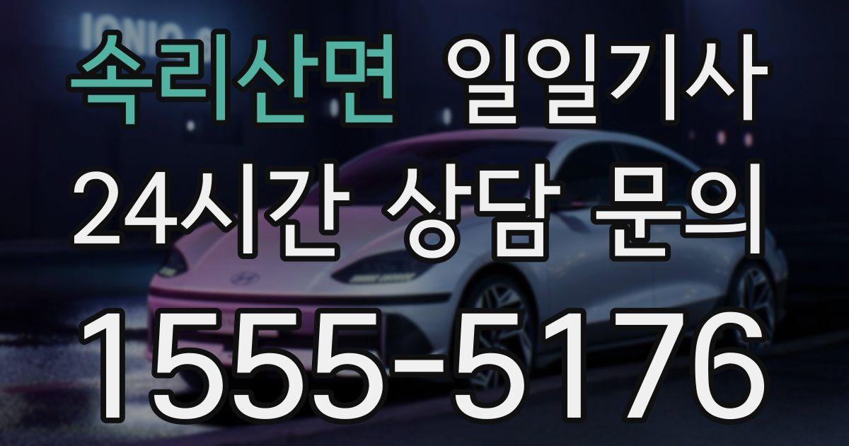 일일대리기사