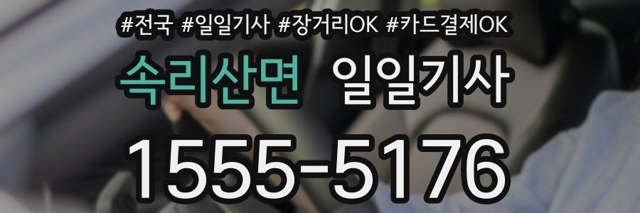 속리산면 일일기사
