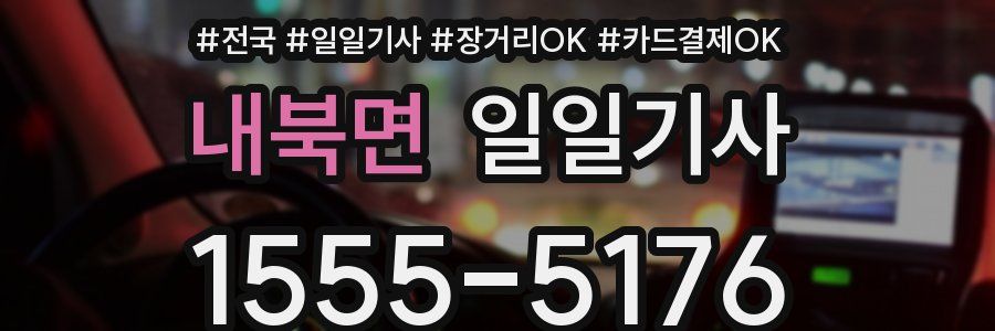 내북면 일일기사