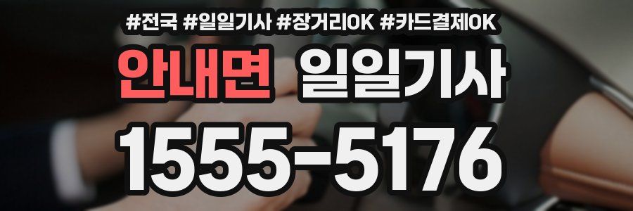 안내면 일일기사