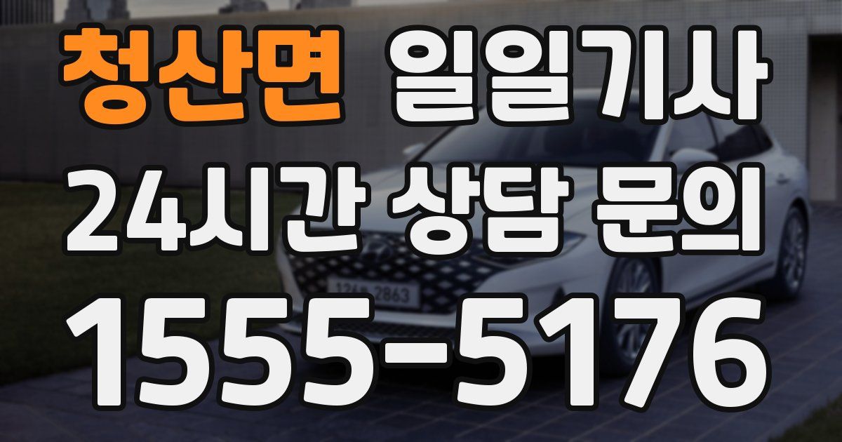 일일대리기사