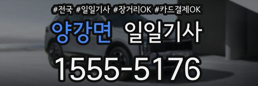 양강면 일일기사