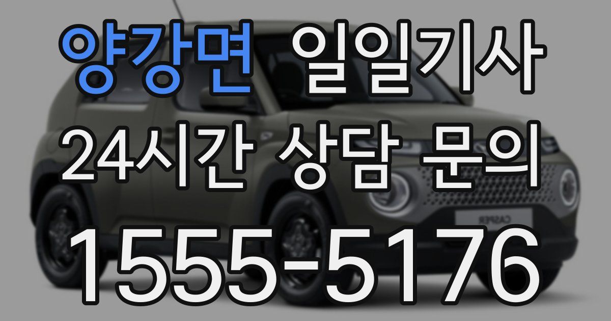 일일대리기사