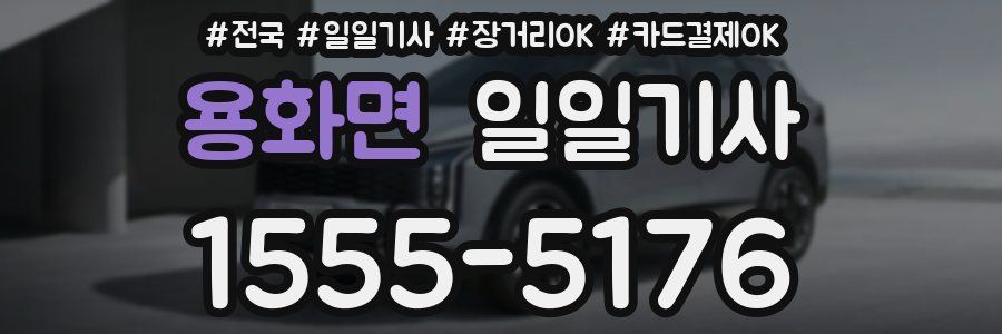 용화면 일일기사