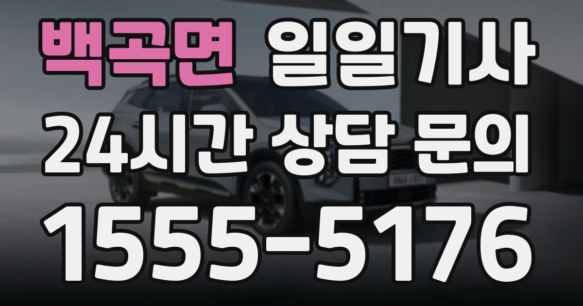 일일대리기사