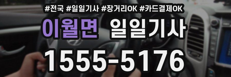 이월면 일일기사