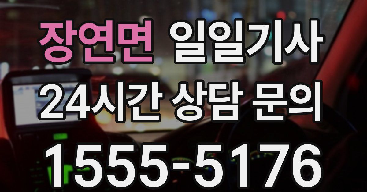 일일대리기사