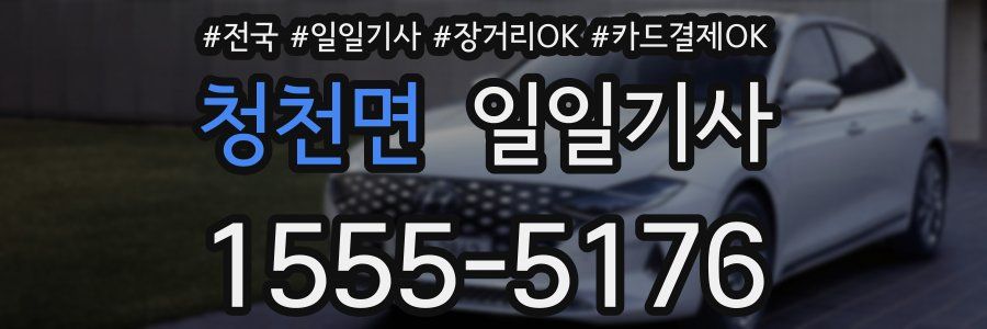 청천면 일일기사
