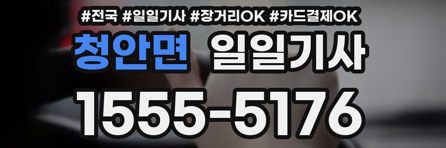 청안면 일일기사