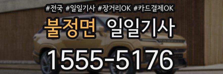 불정면 일일기사