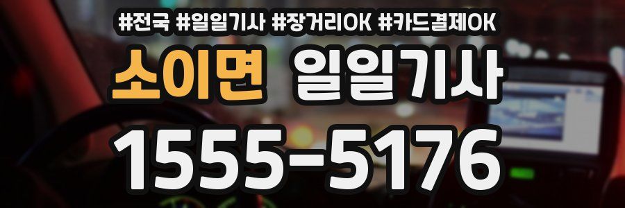 소이면 일일기사