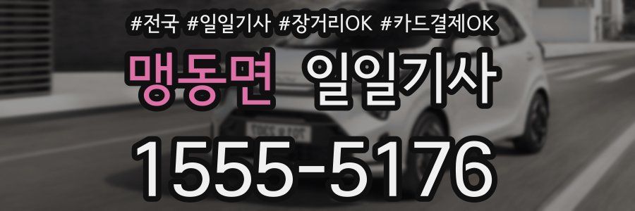 맹동면 일일기사