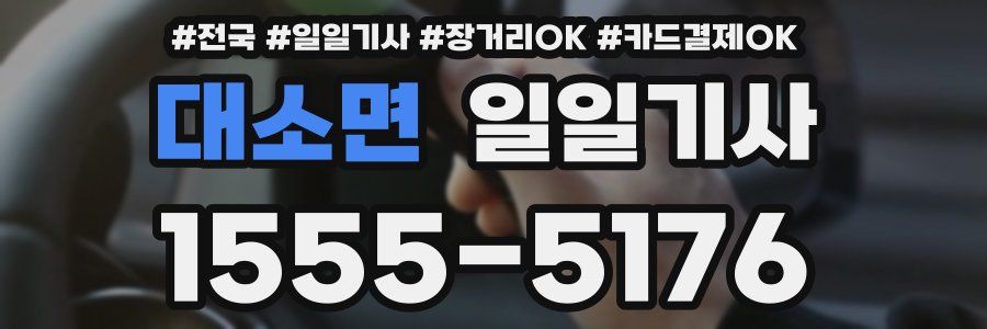 대소면 일일기사