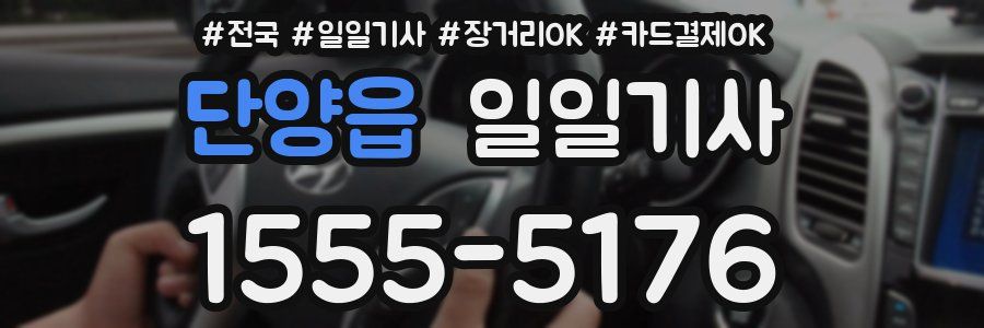 단양읍 일일기사