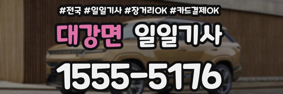 대강면 일일기사