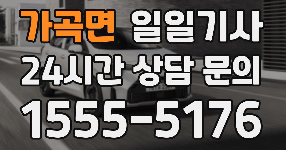 일일대리기사
