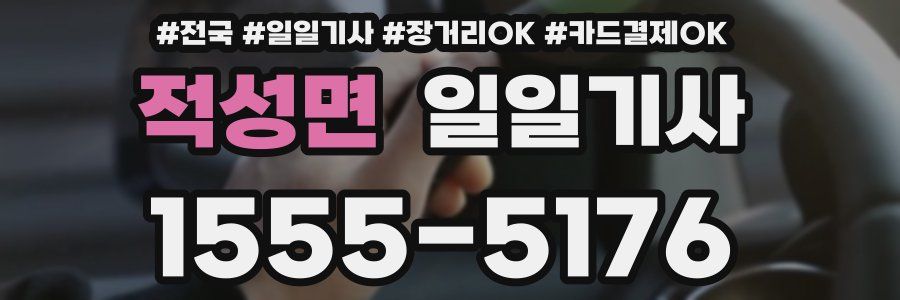 적성면 일일기사