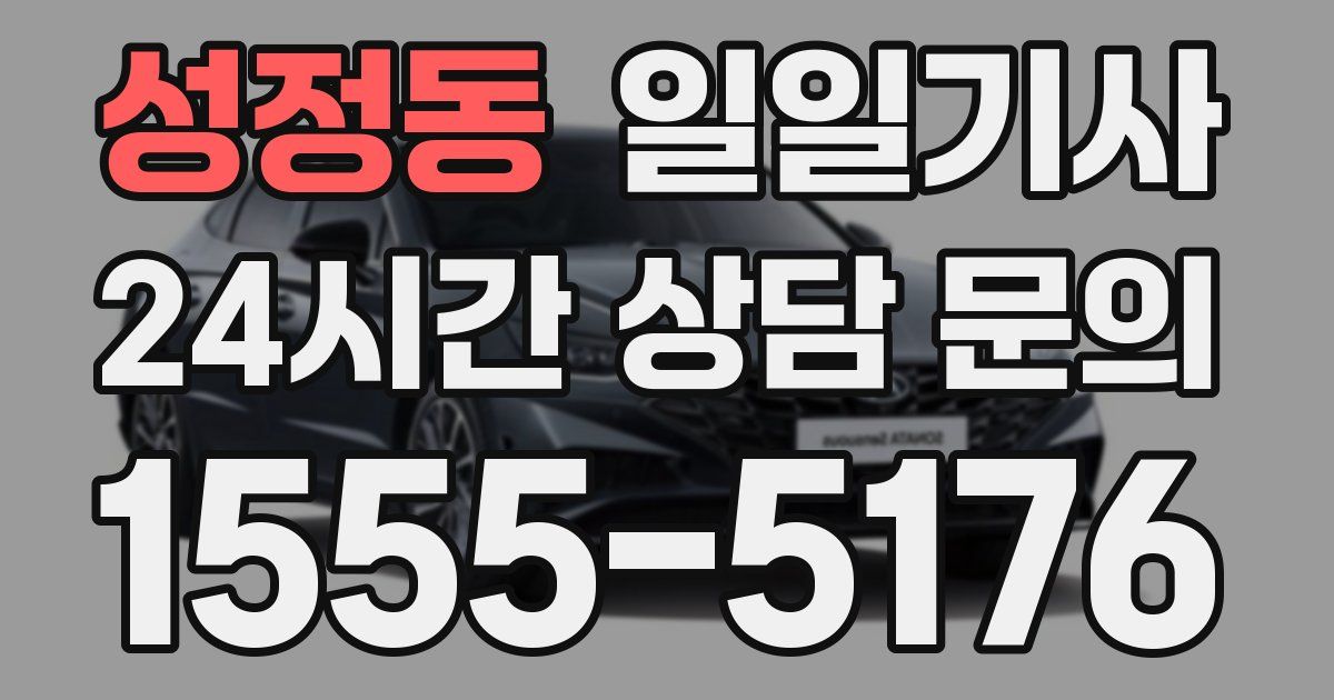 일일대리기사