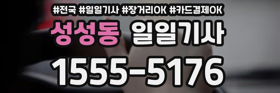 성성동 일일기사